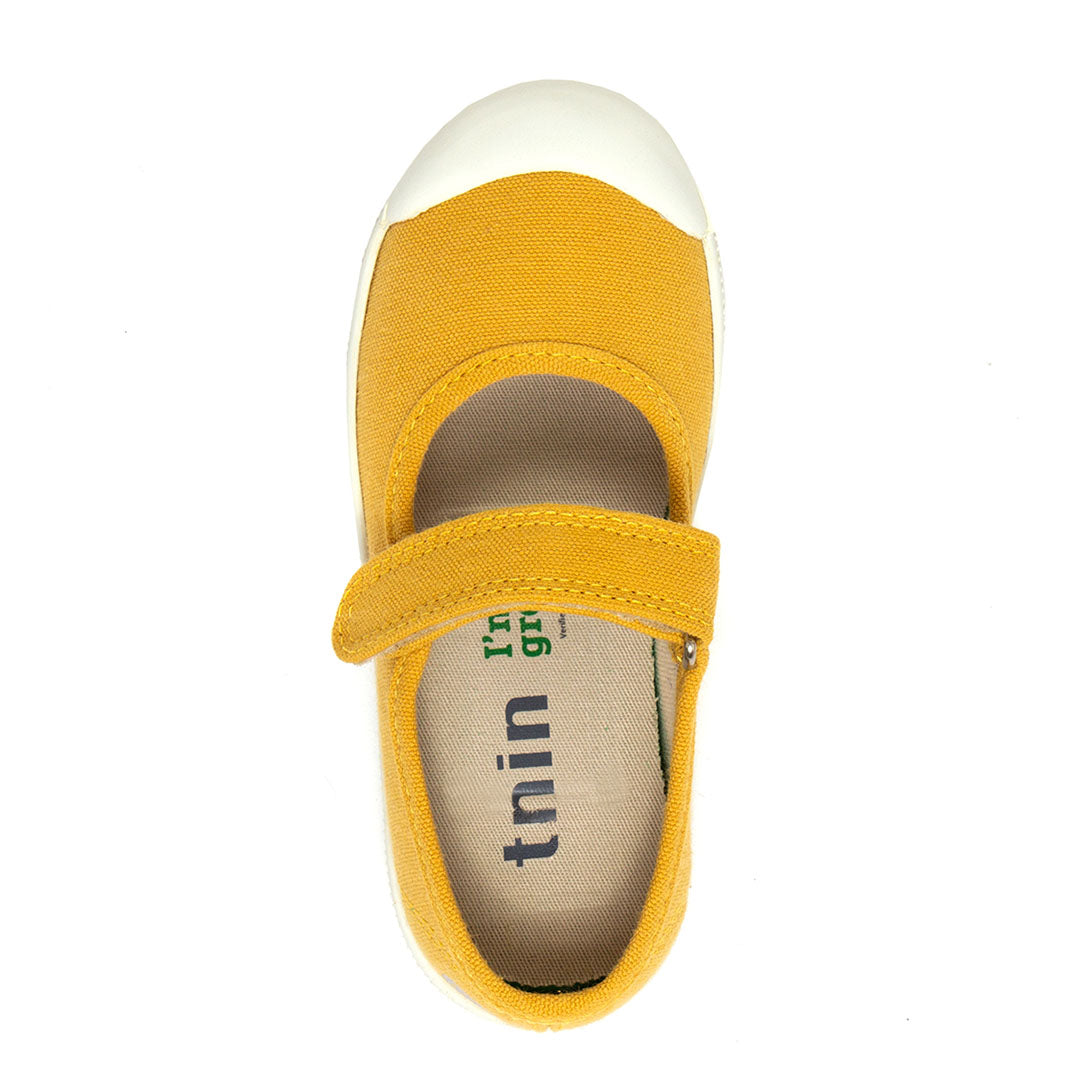 Golden Lane Mostarda