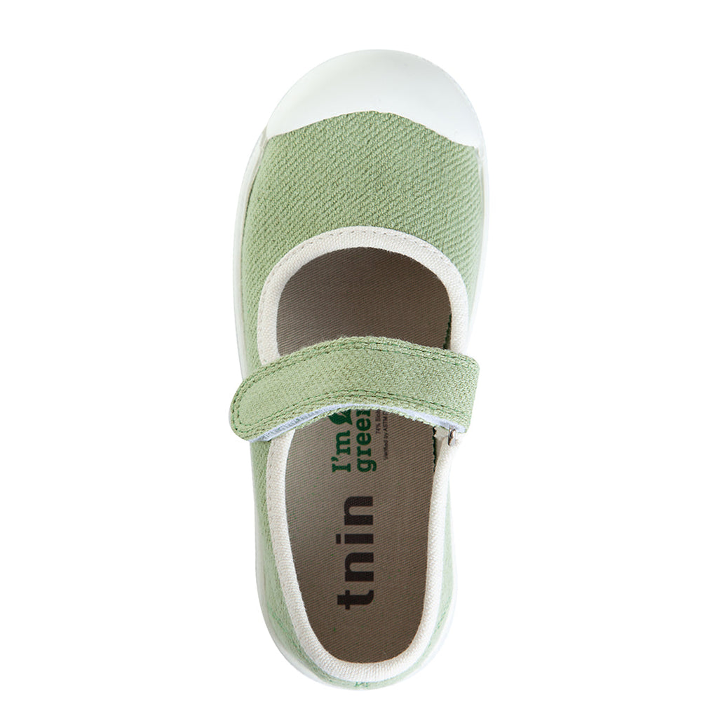 Golden Lane Verde Claro